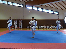 p4110706.jpg