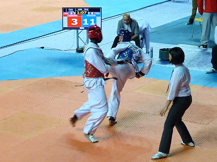 p3830548.jpg