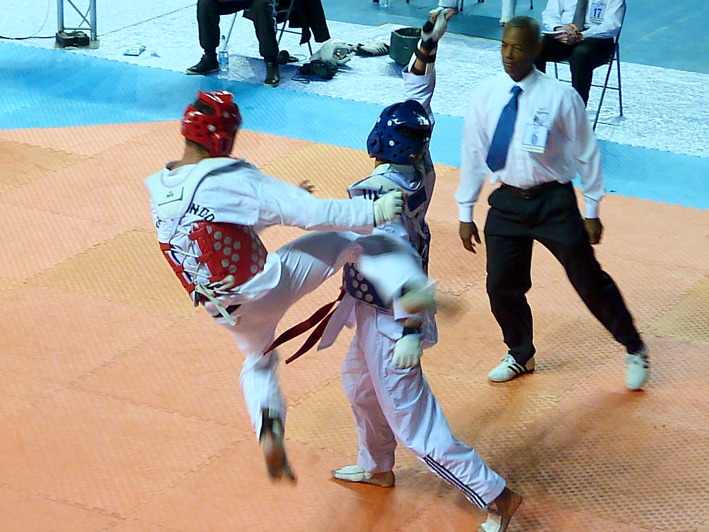 p3840209.jpg