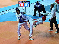 p3830853.jpg