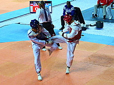 p3830863.jpg