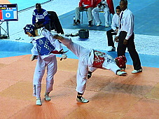 p3830904.jpg
