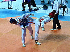 p3830913.jpg