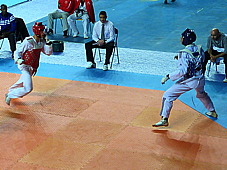 p3830955.jpg
