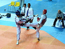 p3830975.jpg