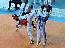 p3840072.jpg
