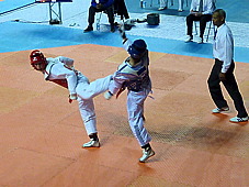 p3840110.jpg