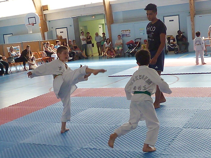 p3930303.jpg