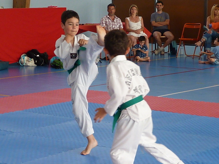 p3930683.jpg
