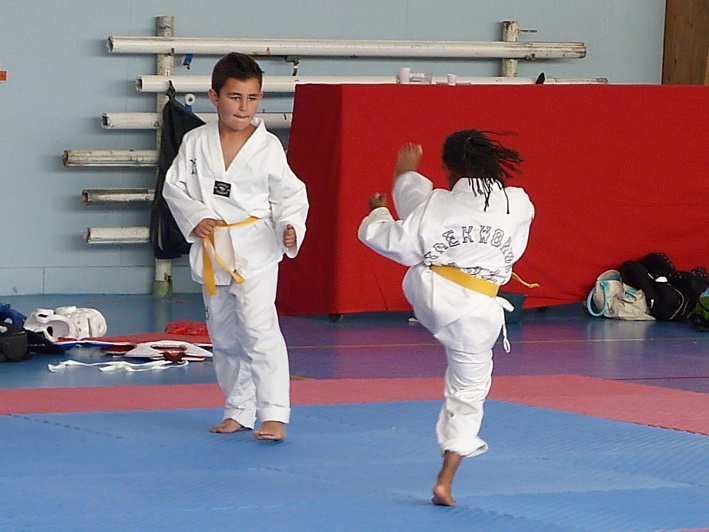 p3940130.jpg
