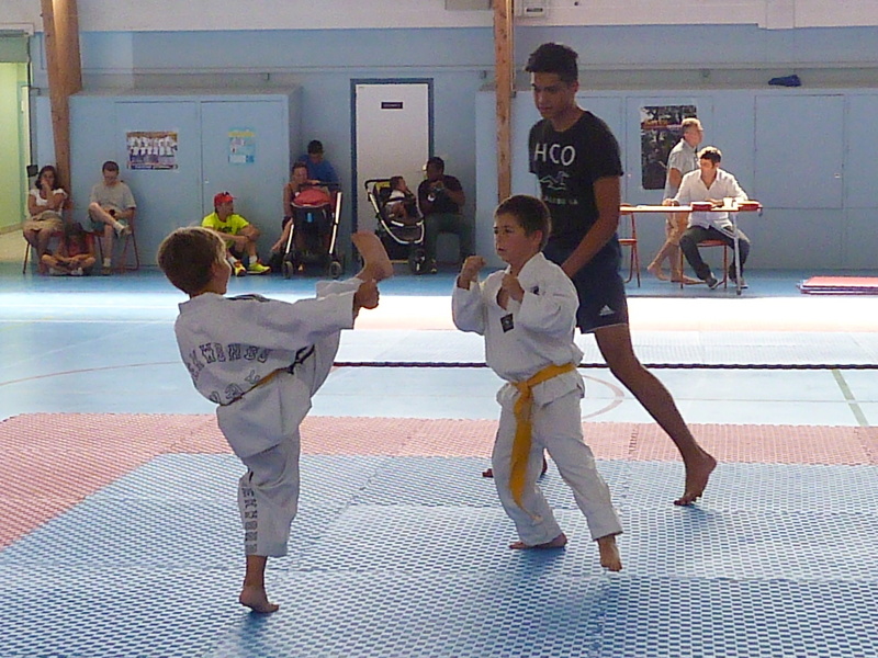 p3940379.jpg