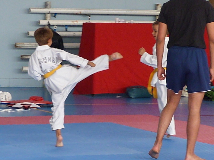 p3940563.jpg