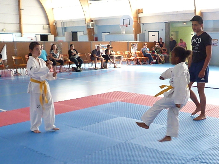 p3940830.jpg