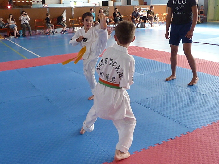 p3940875.jpg