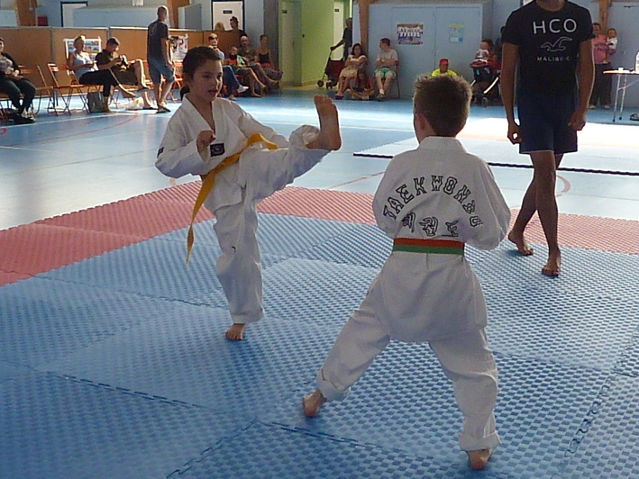 p3940899.jpg