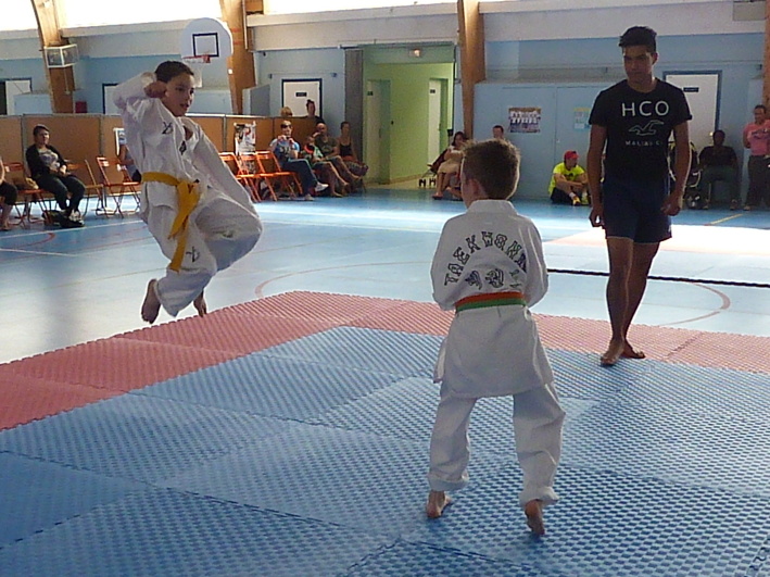 p3940941.jpg