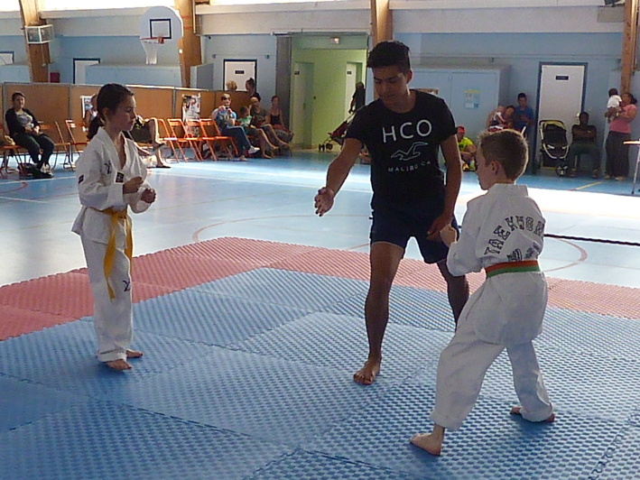 p3940960.jpg