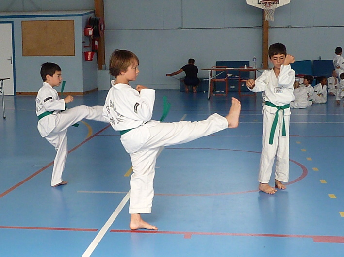 p3950991.jpg