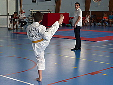 p3920783.jpg