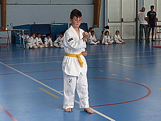 p3920825.jpg