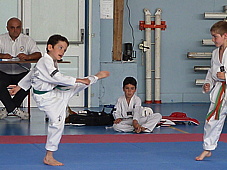 p3930370.jpg