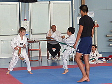 p3930439.jpg