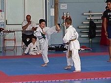 p3930553.jpg