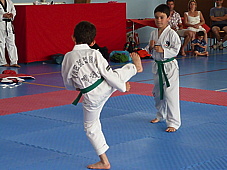 p3930696.jpg