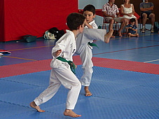 p3930708.jpg