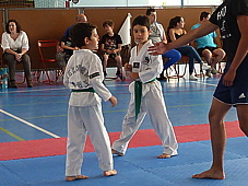 p3930759.jpg