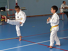 p3930764.jpg