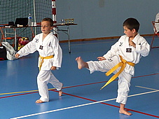 p3930768.jpg