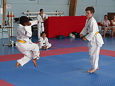 p3930868.jpg