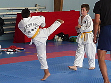 p3930994.jpg