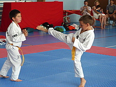 p3940252.jpg