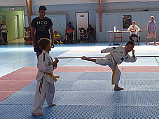 p3940397.jpg