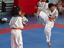 p3950176.jpg