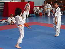 p3950199.jpg
