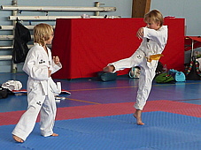 p3950554.jpg