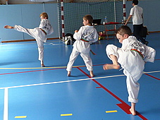 p3950722.jpg