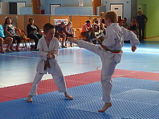 p3950903.jpg