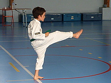 p3960152.jpg
