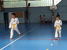 p3960325.jpg