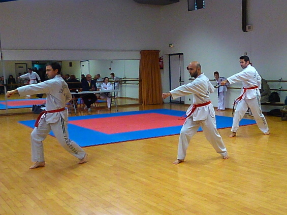 p3560096.jpg
