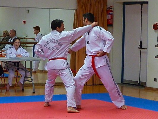 p3560234.jpg