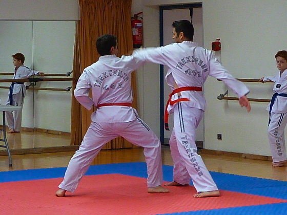 p3560291.jpg