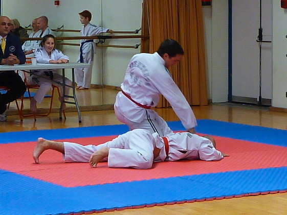 p3560498.jpg
