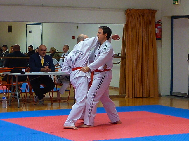 p3560531.jpg