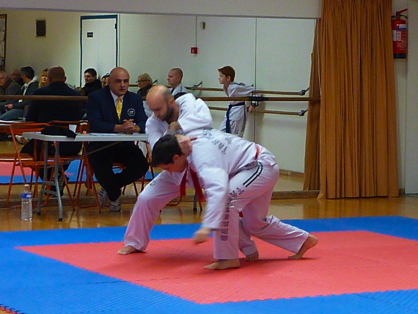 p3560538.jpg