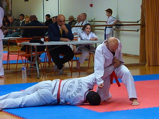 p3560572.jpg